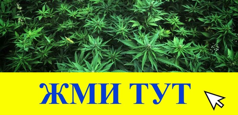 Купить наркотики в Бирске